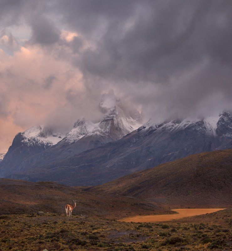 sv-phototravel.com, патагония Прощальный взгляд. фото превью