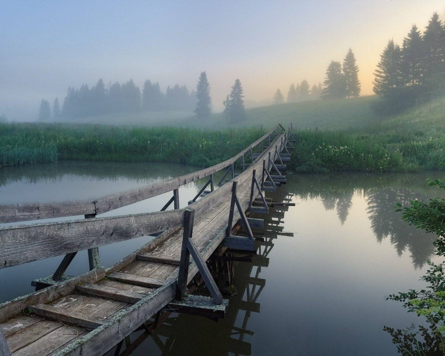 июль, туман, лема, Дмитрий Медянцев