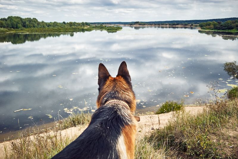 Somewhere not here фото превью