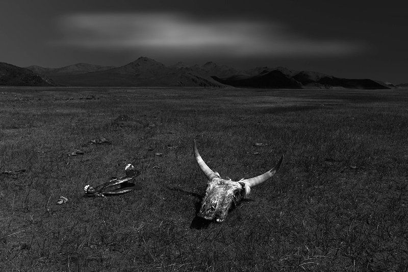 生存法则 фото превью