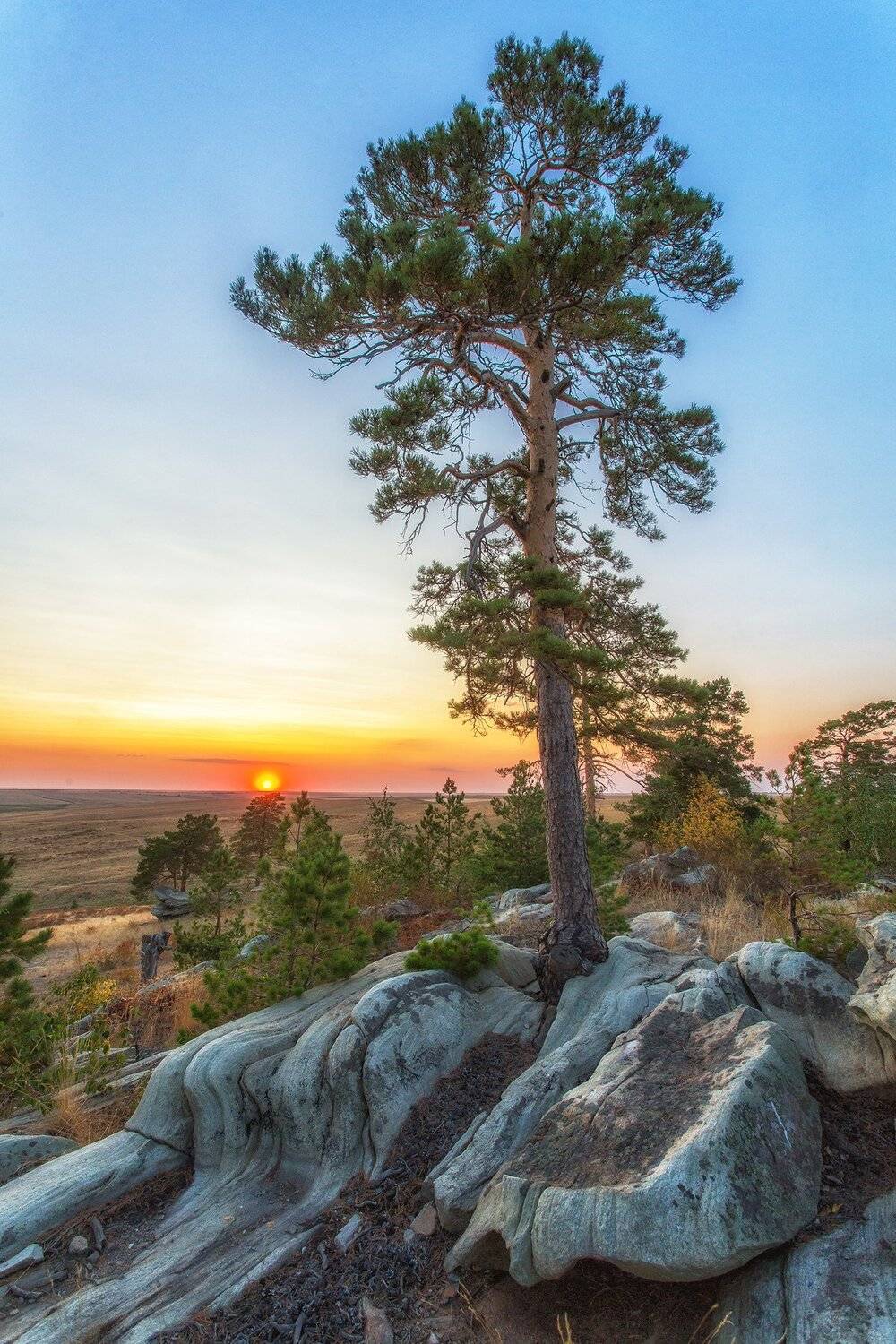, Павел Сагайдак