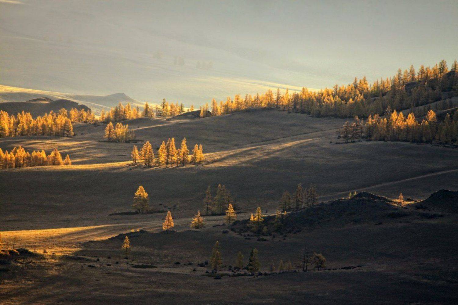 , Галина Хвостенко