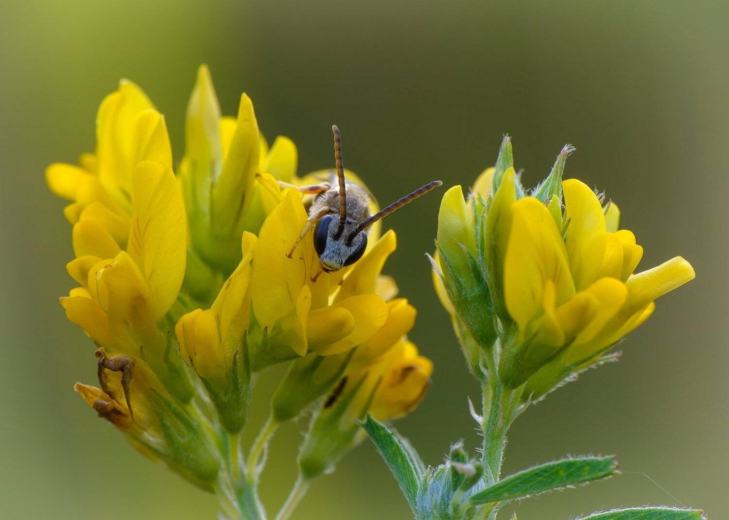 , Кузнецов Дмитрий