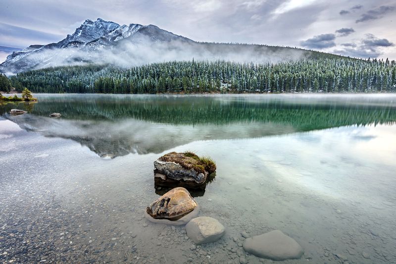 Morning ... фото превью