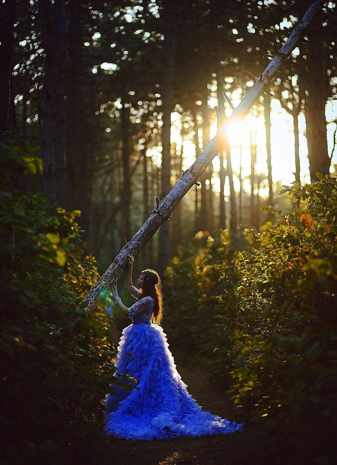 , Сергей Кобылько