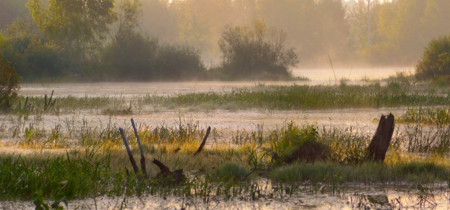 утро туман суходол, Дмитрий Алексеев