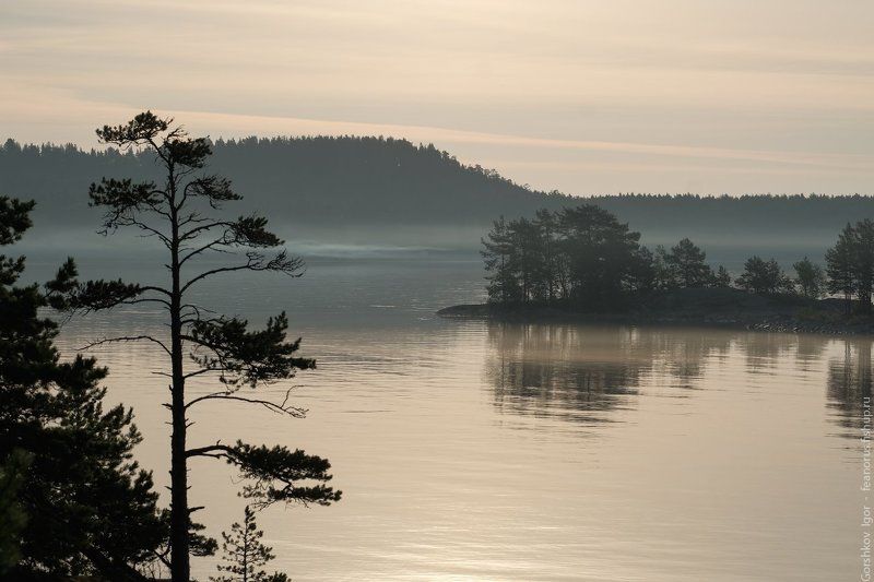 ладога,пейзаж,природа,утро,рассвет,гора,берег,россия,озеро,туман Утро на Ладоге фото превью