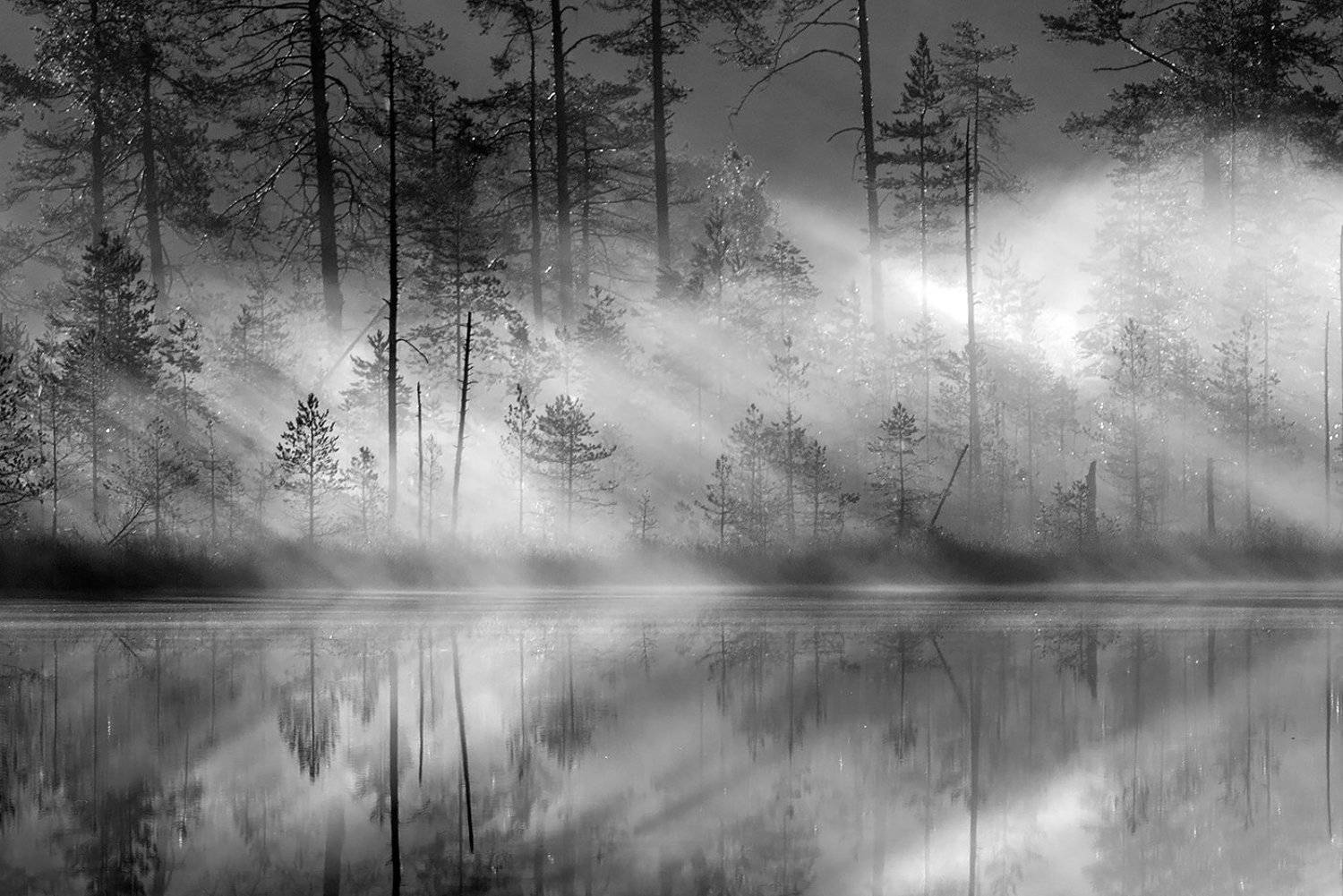 карелия, Виктор