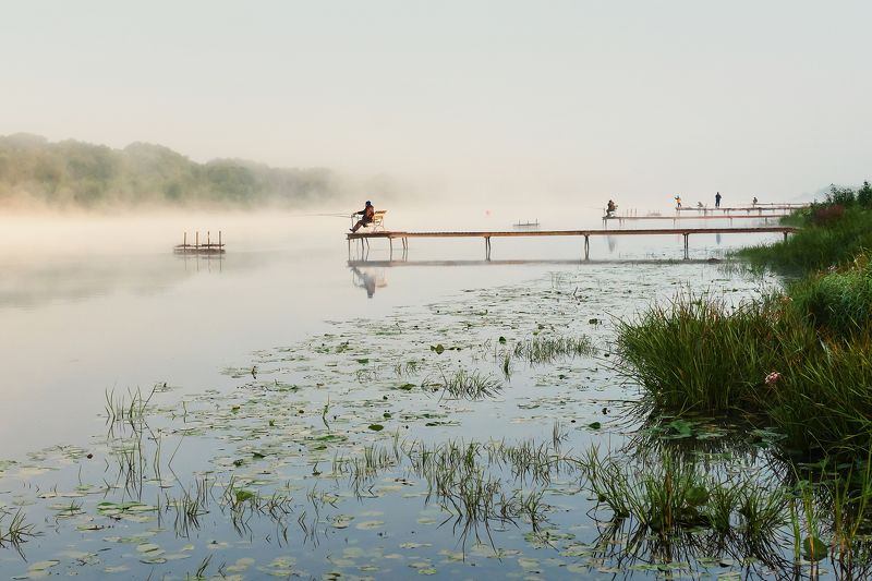 На утренней зорьке фото превью