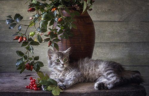 Осенний подарок