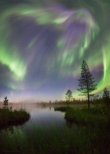 Ночные прогулки