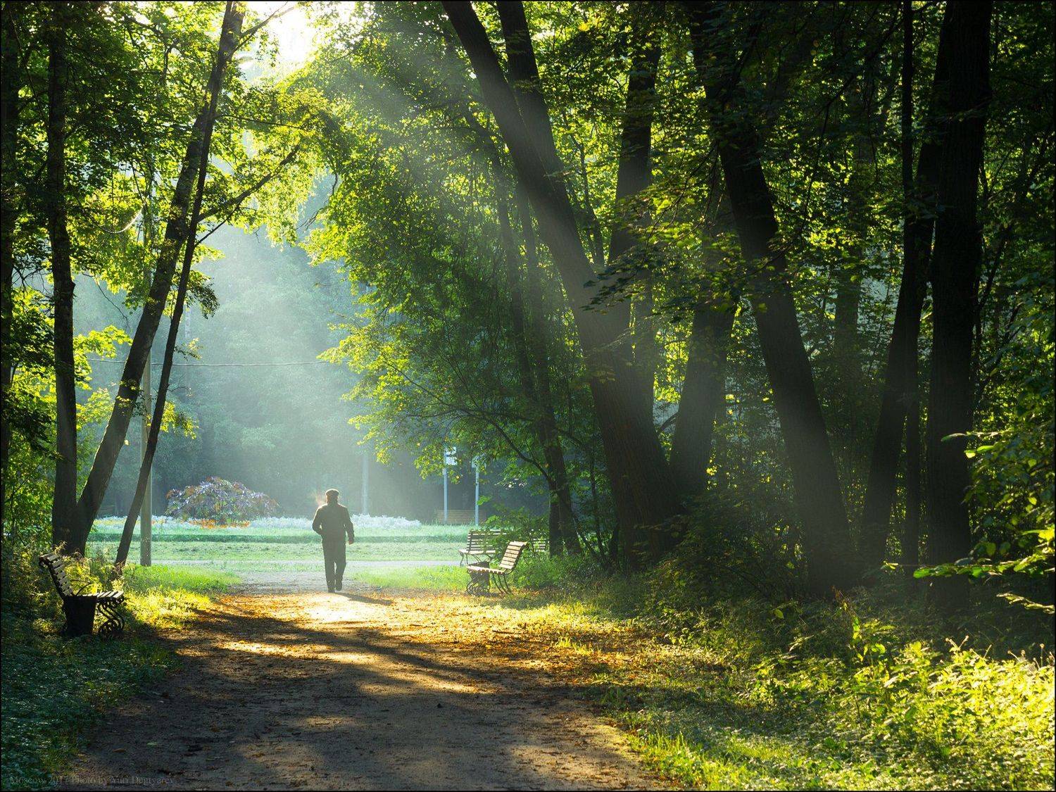 город, парк, Москва, Кузьминки, Выхино, Двенадцати, Лучей, утро, свет, тропинка, Юрий Дегтярёв