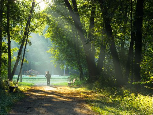 Россия. Москва. Парк 