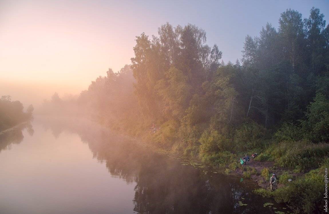 , Алексей Лобанов