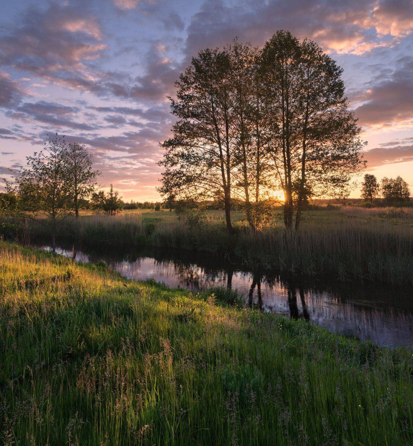 , Зинченко Роман