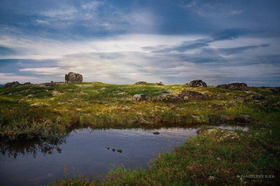 , Пантелеев Илья