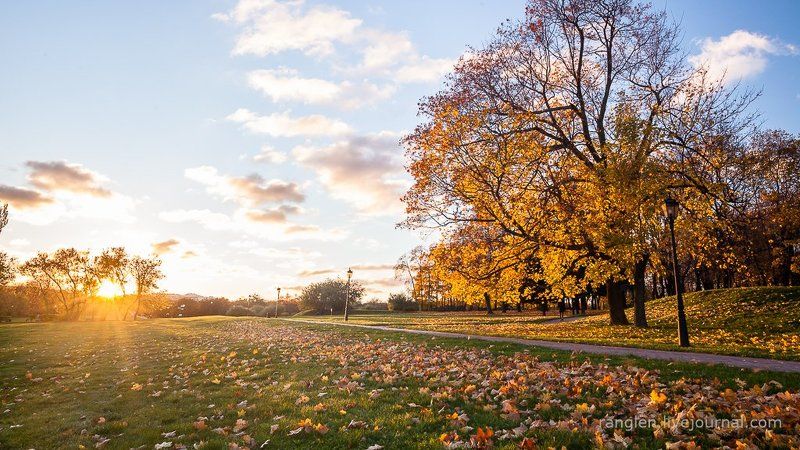 коломенское, москва, осень, золотая, небо, пейзаж Перед закатом фото превью