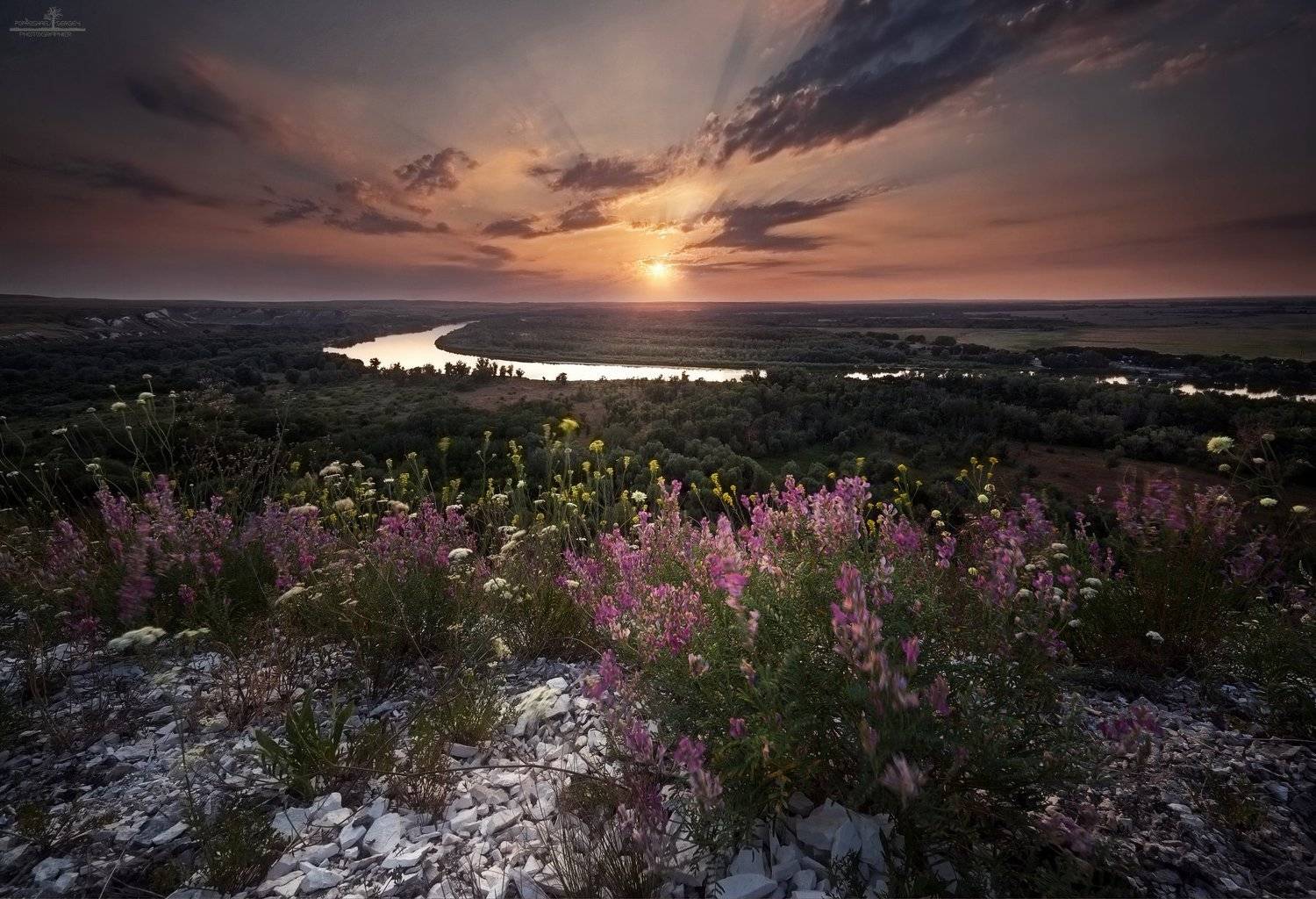 россия, дон, Попрошаев Сергей