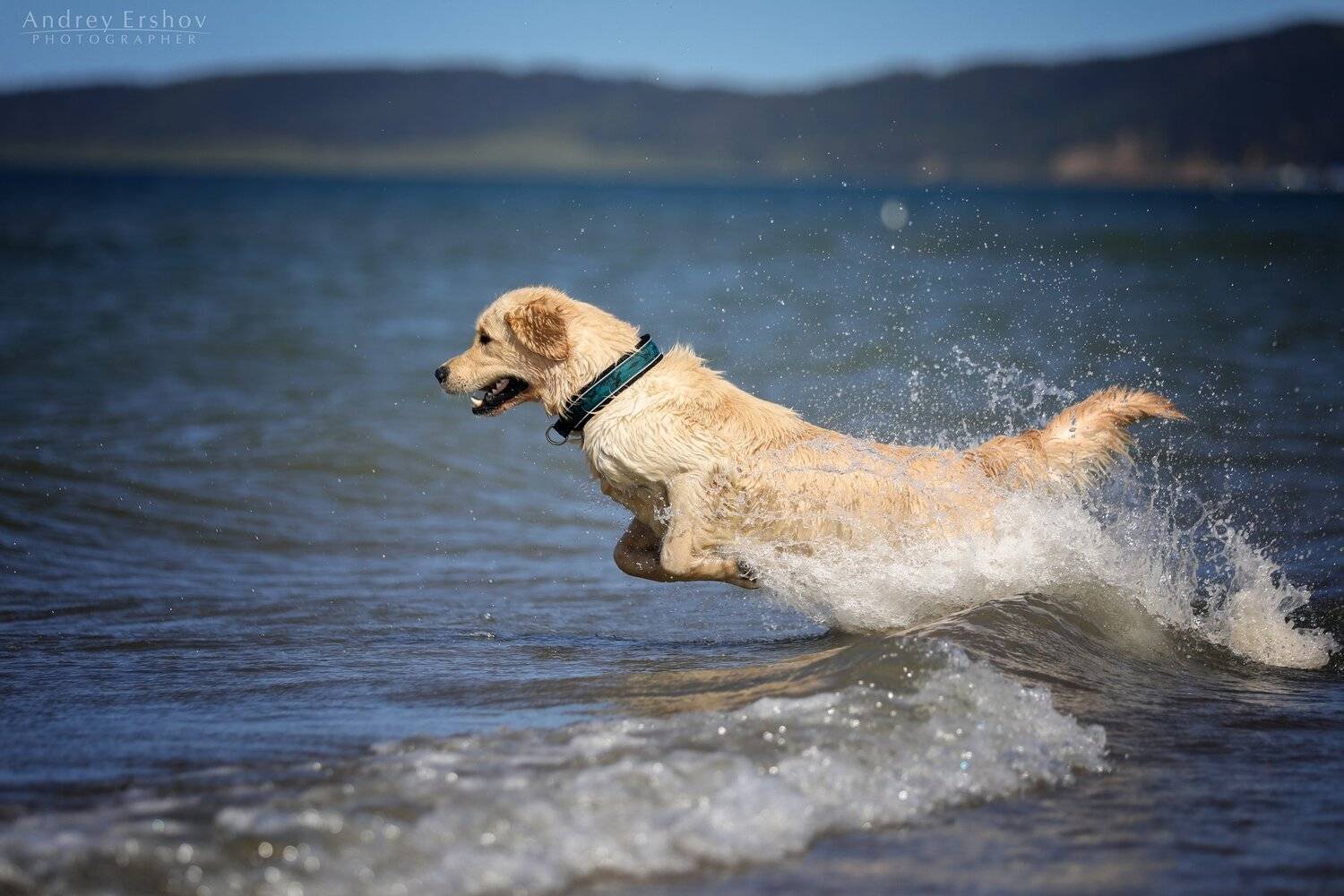 , Андрей Ершов