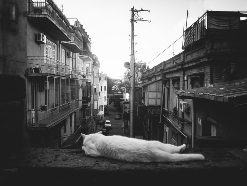 смотритель фото превью