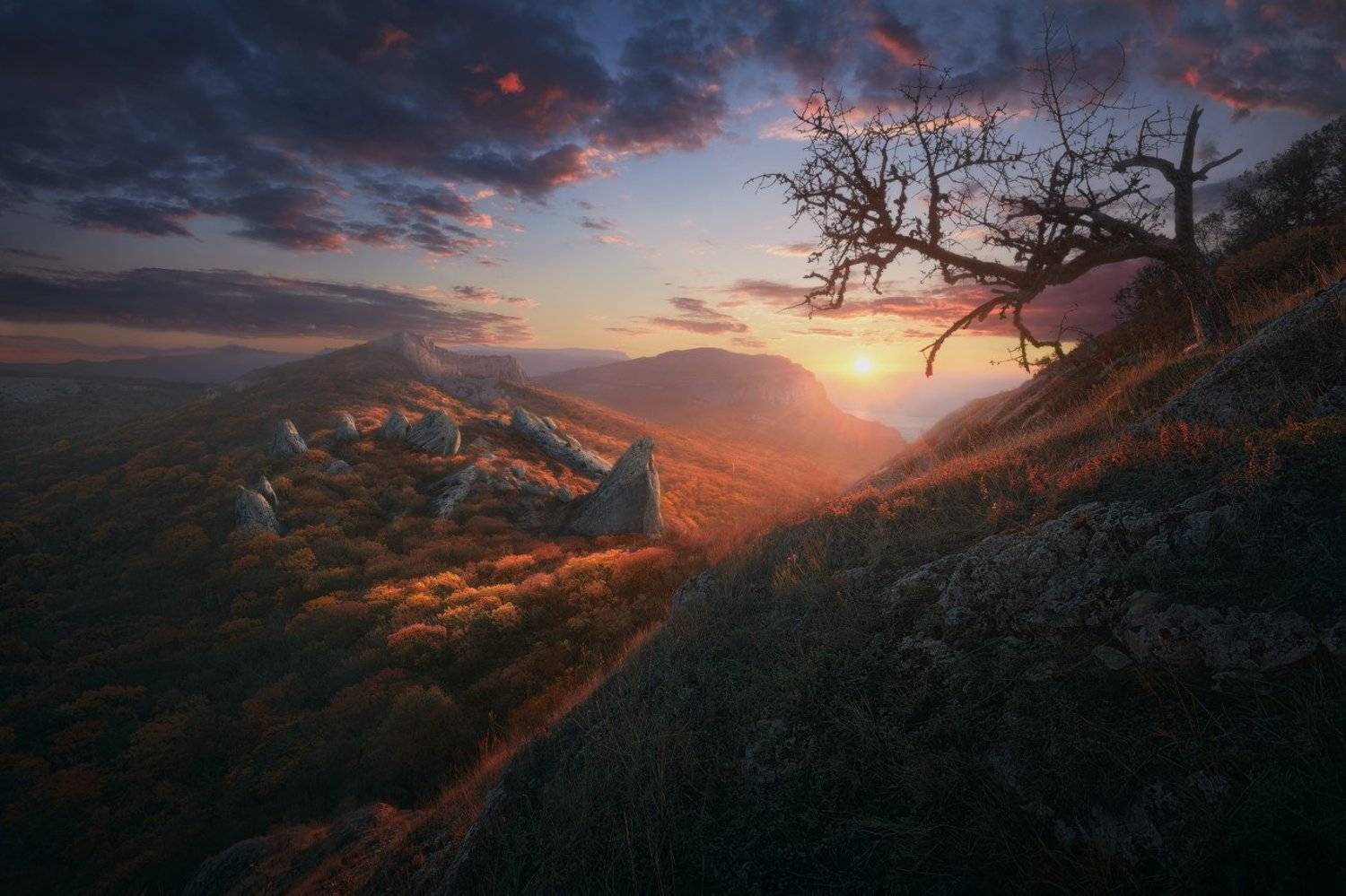 Крым, Ilya Melikhov