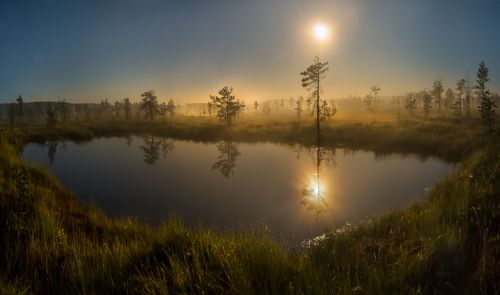 Состояние сна