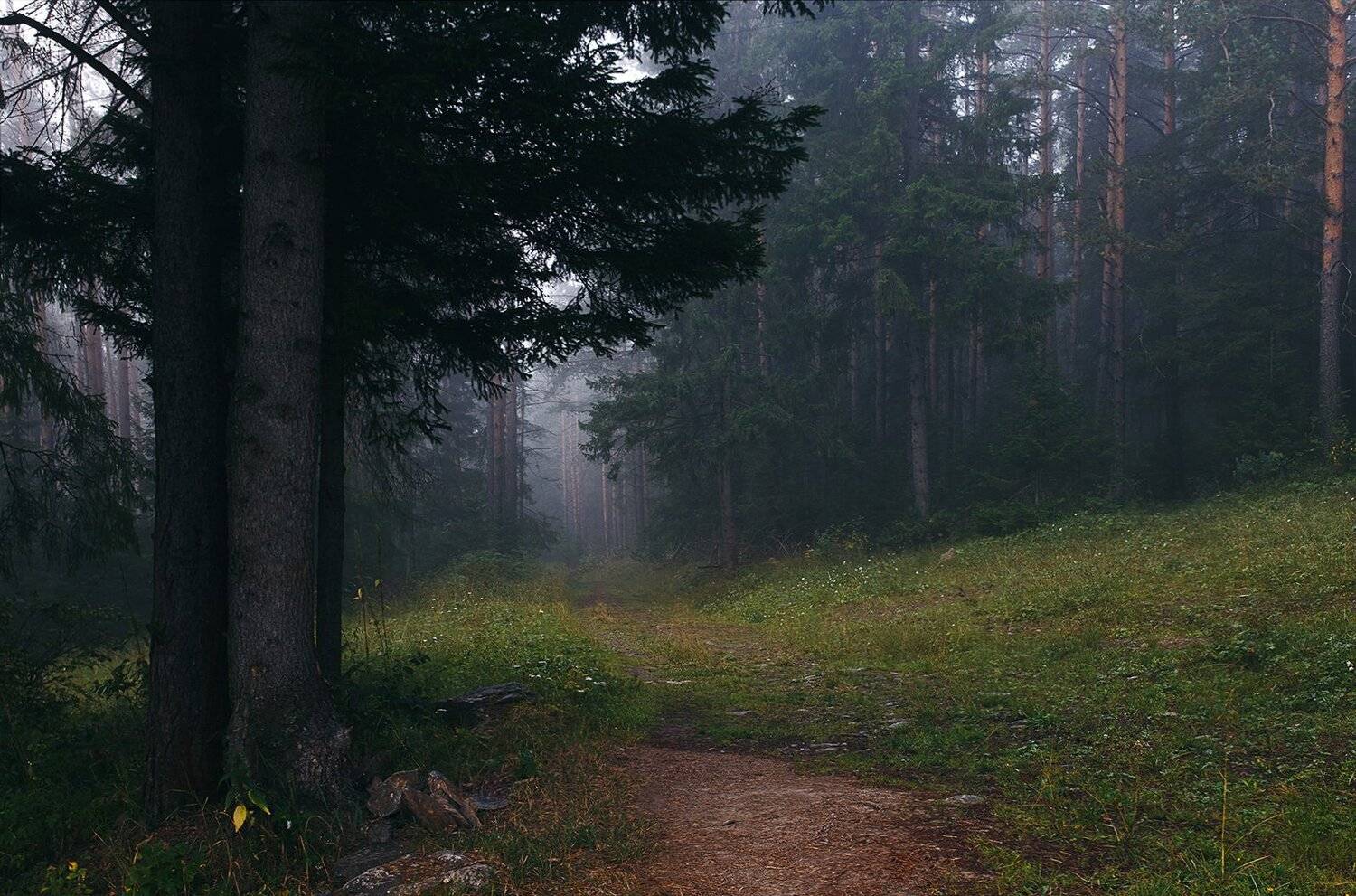 пейзаж, лес, утро, рассвет, туман, природа, южный урал, Евгений Толкачёв