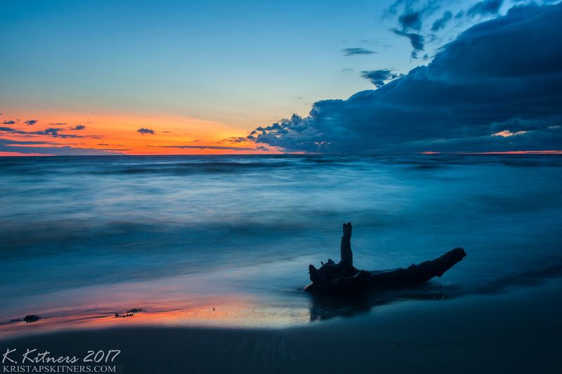 sea seascape water sky clouds branch reflection sunset evening latvia The Old Branch фото превью
