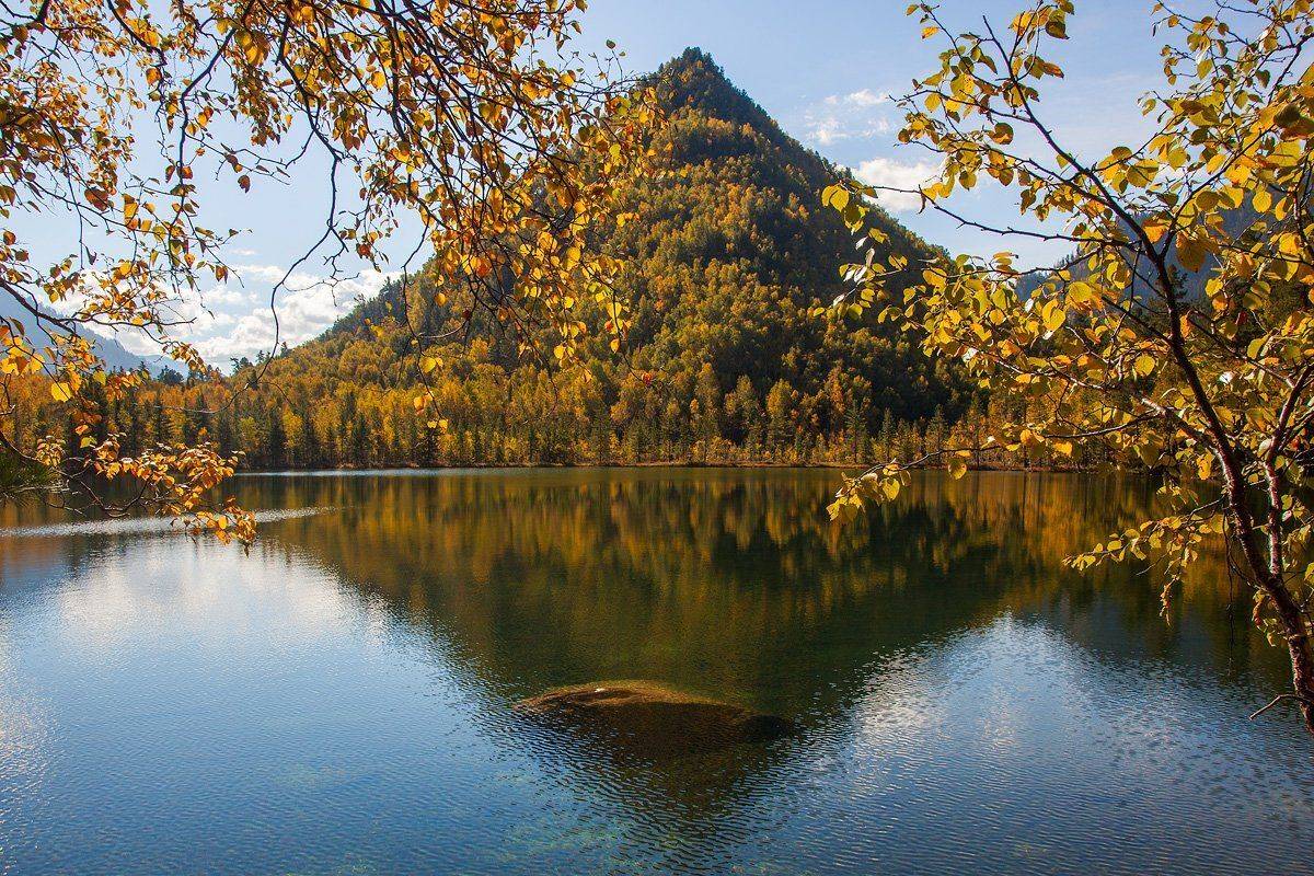 , Сергей Низовцев