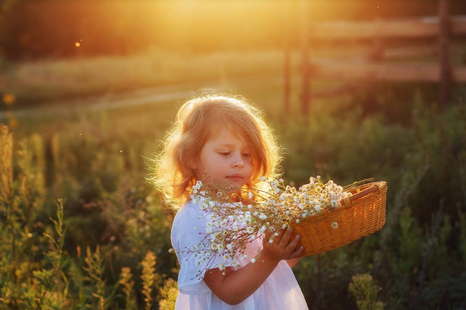 , Ольга Усачева