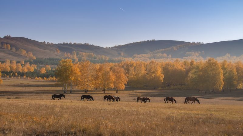 Пастораль фото превью