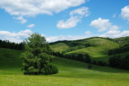 Зеленая Башкирия
