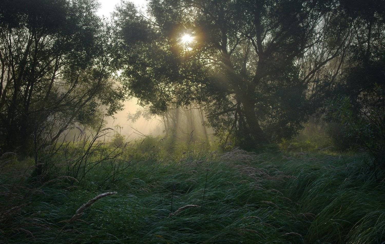 , Сергей Шляга