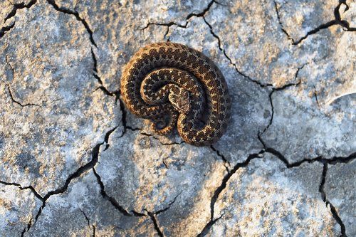 Солнечные ванны