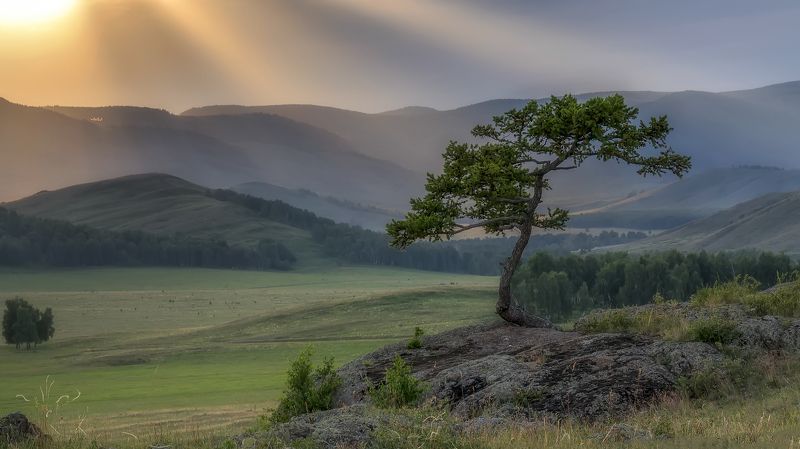 Карагай фото превью