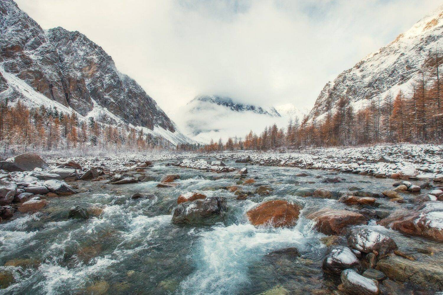 алтай, актру, Владимир Липецких
