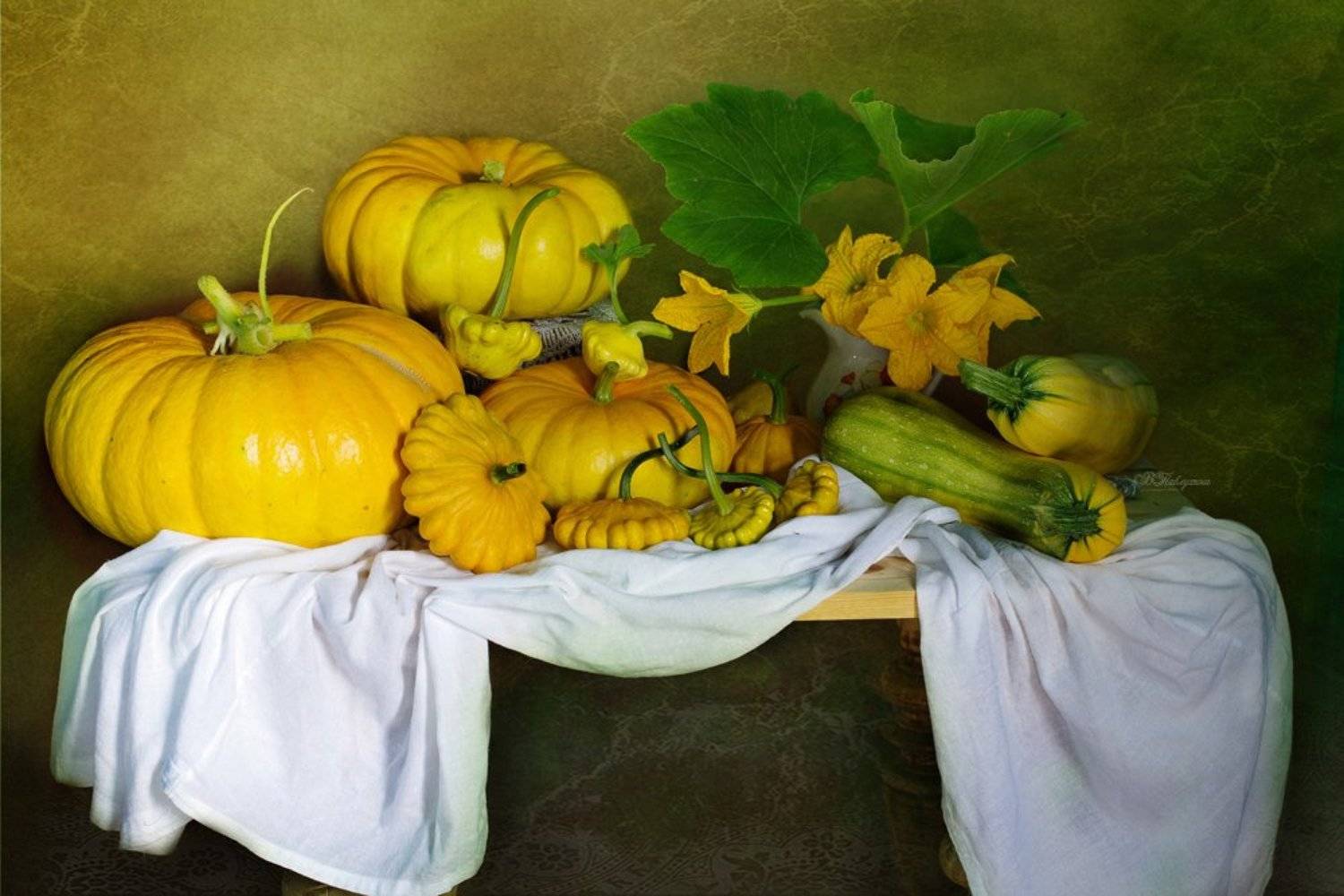 осень,тыквы,патиссоны,натюрморт,вера павлухина ,, Вера Павлухина