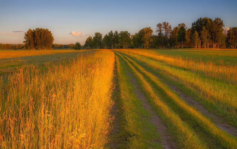 * фото превью