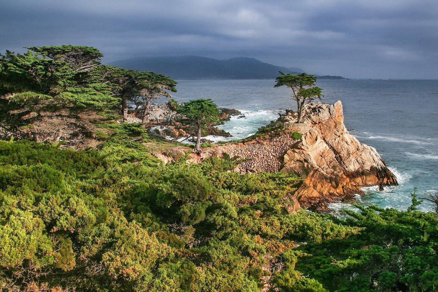 сосн, океан, волны, дождь, тучи, калифорния, сша, 17 mile drive,, Андрей Огнев