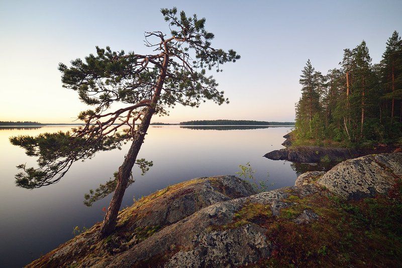 карелия, охта, закат, озеро, пейзаж, d600, 14mm Карельский вечер фото превью