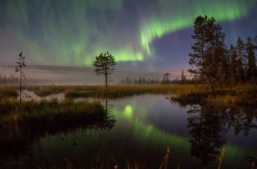 Чудесная ночь