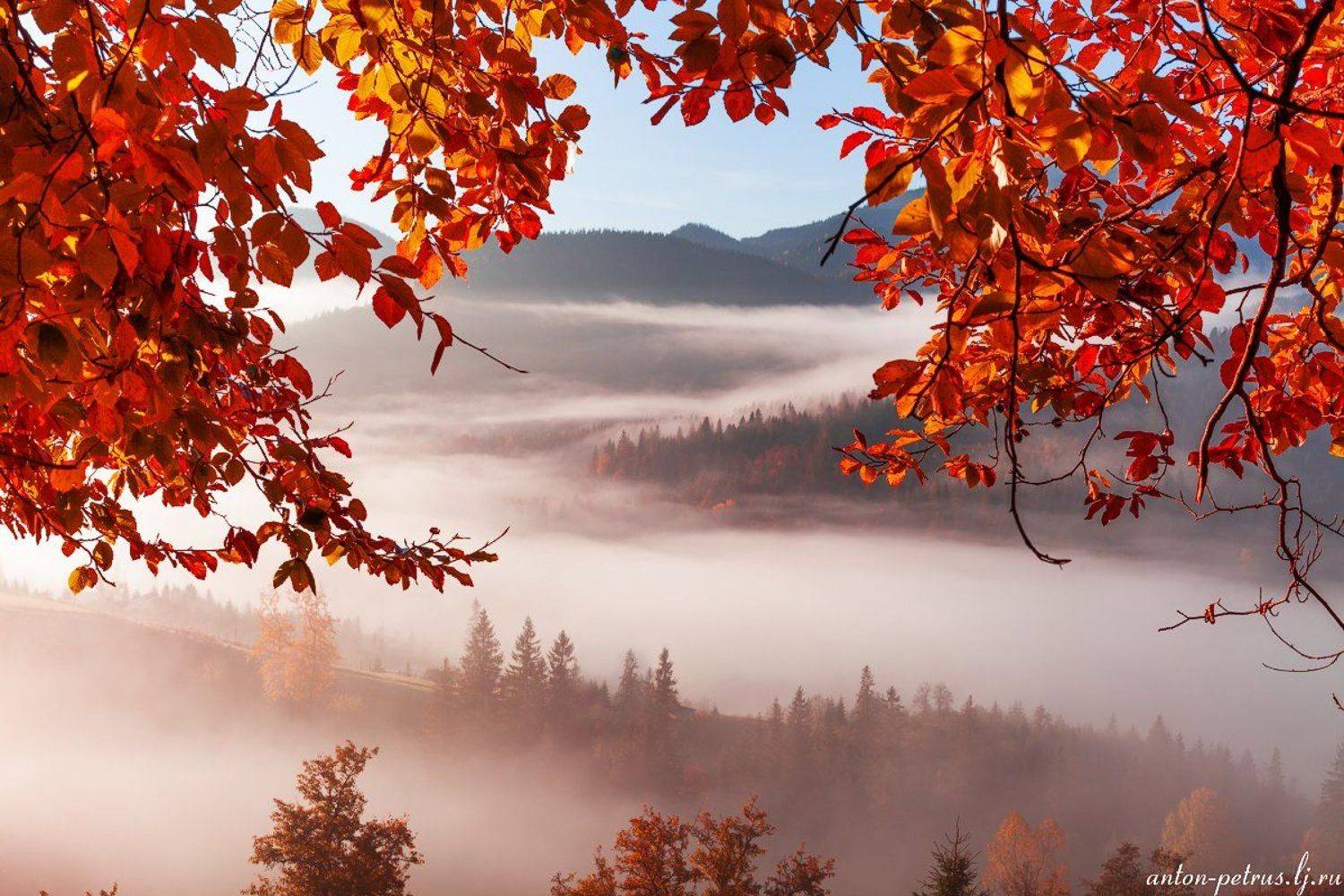 рассвет, туман, карпаты, горы, осень, Антон Петрусь