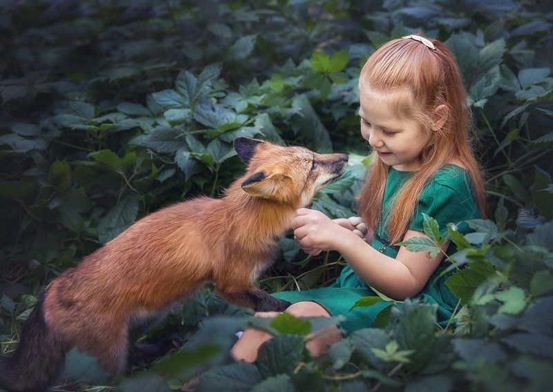 girl, fox, forest, summer, red-haired, friendship Первая встреча фото превью