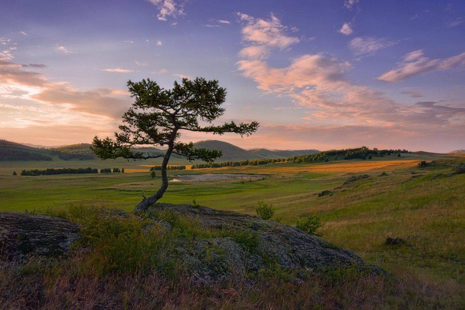 , Леонид Максименко