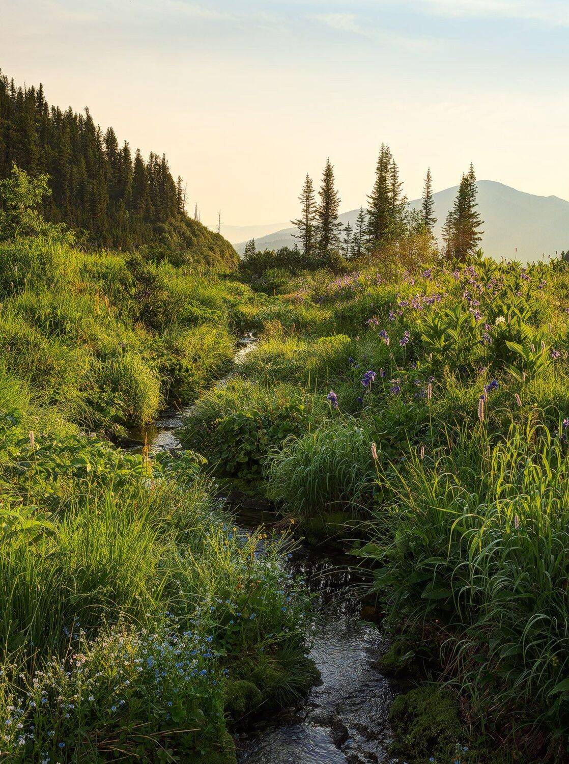 , Лещёнок Александр