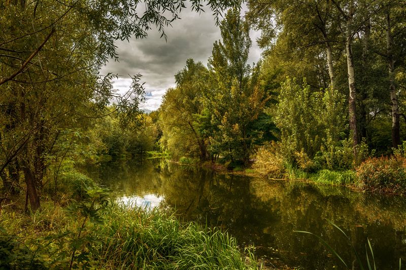 у реки фото превью