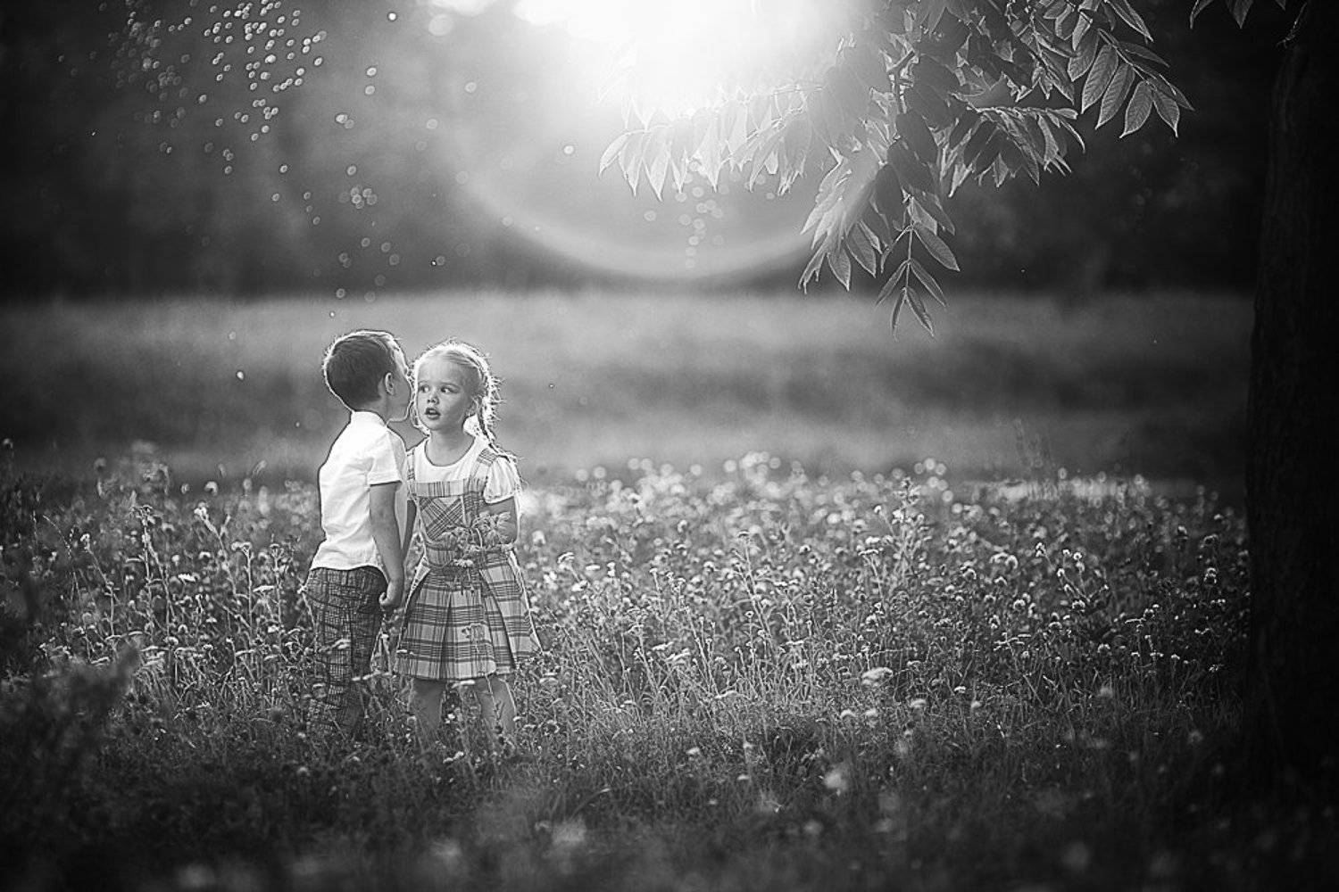 , Захаркова Екатерина