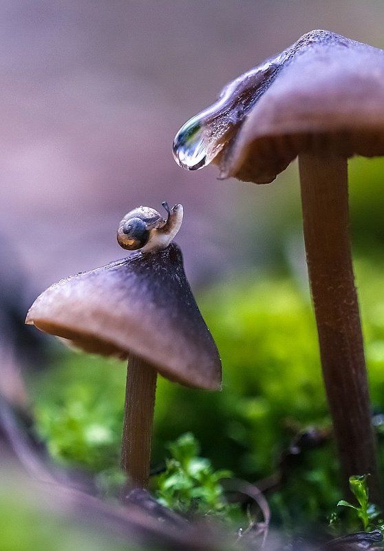 Водопад фото превью