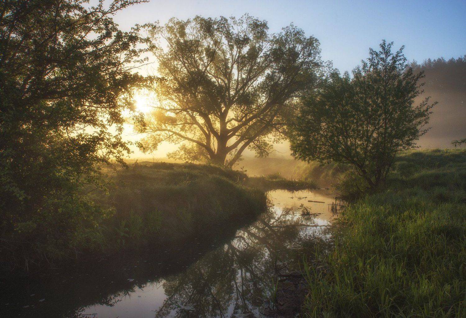 , Сергей Добровольский