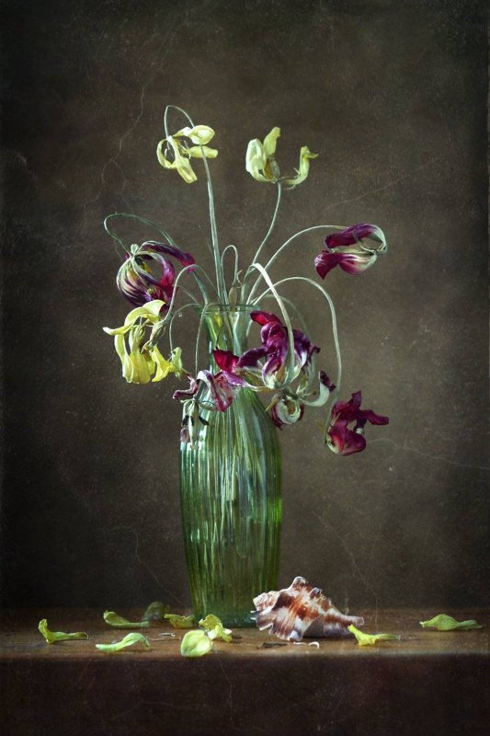 натюрморт, цветы. тюльпаны, увядание, Курочкина Диана